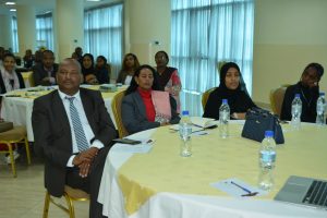 Consultative Workshop Image 6